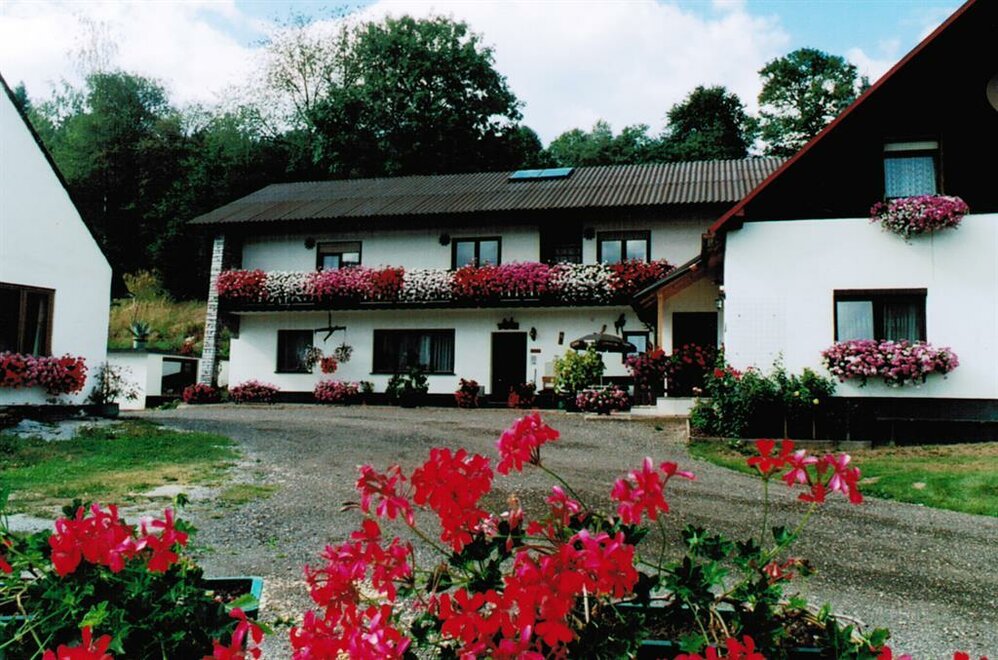 Monteur-Zimmer - Preis pro Nacht - Wald am Schoberpaß - Privatpension Zadl