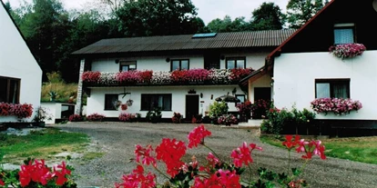Monteur-Zimmer - Kraubath an der Mur - Privatpension Zadl