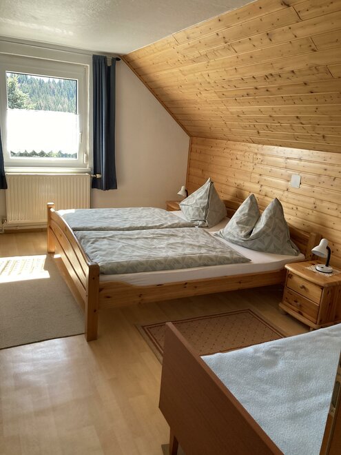 Monteur-Zimmer - Preis pro Nacht - Wald am Schoberpaß - Privatpension Zadl