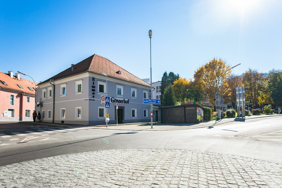 Monteur-Zimmer - Krieglach - Pension Gösserhof