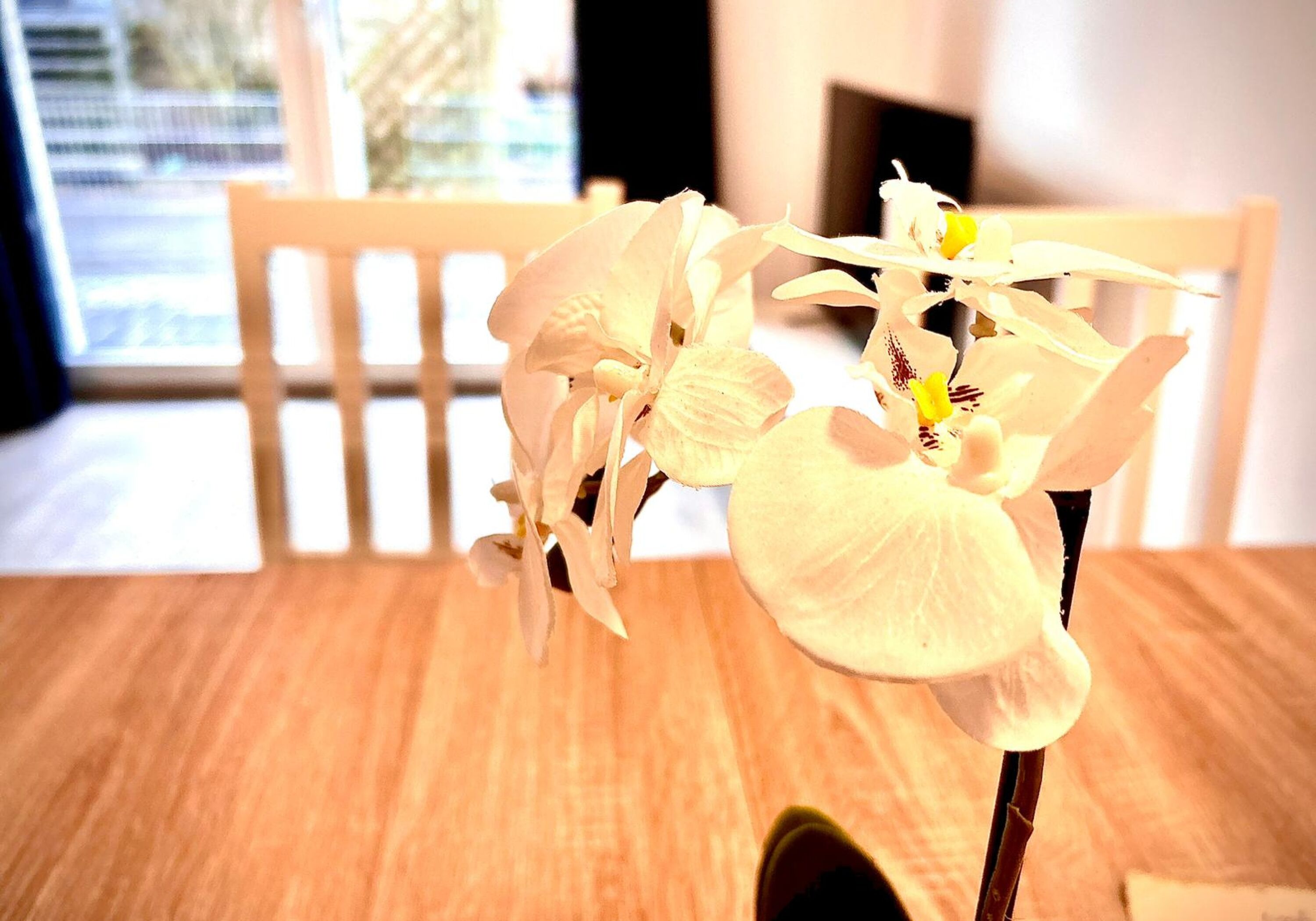 MonteurZimmer: Aparthotel Stadt Hamburg