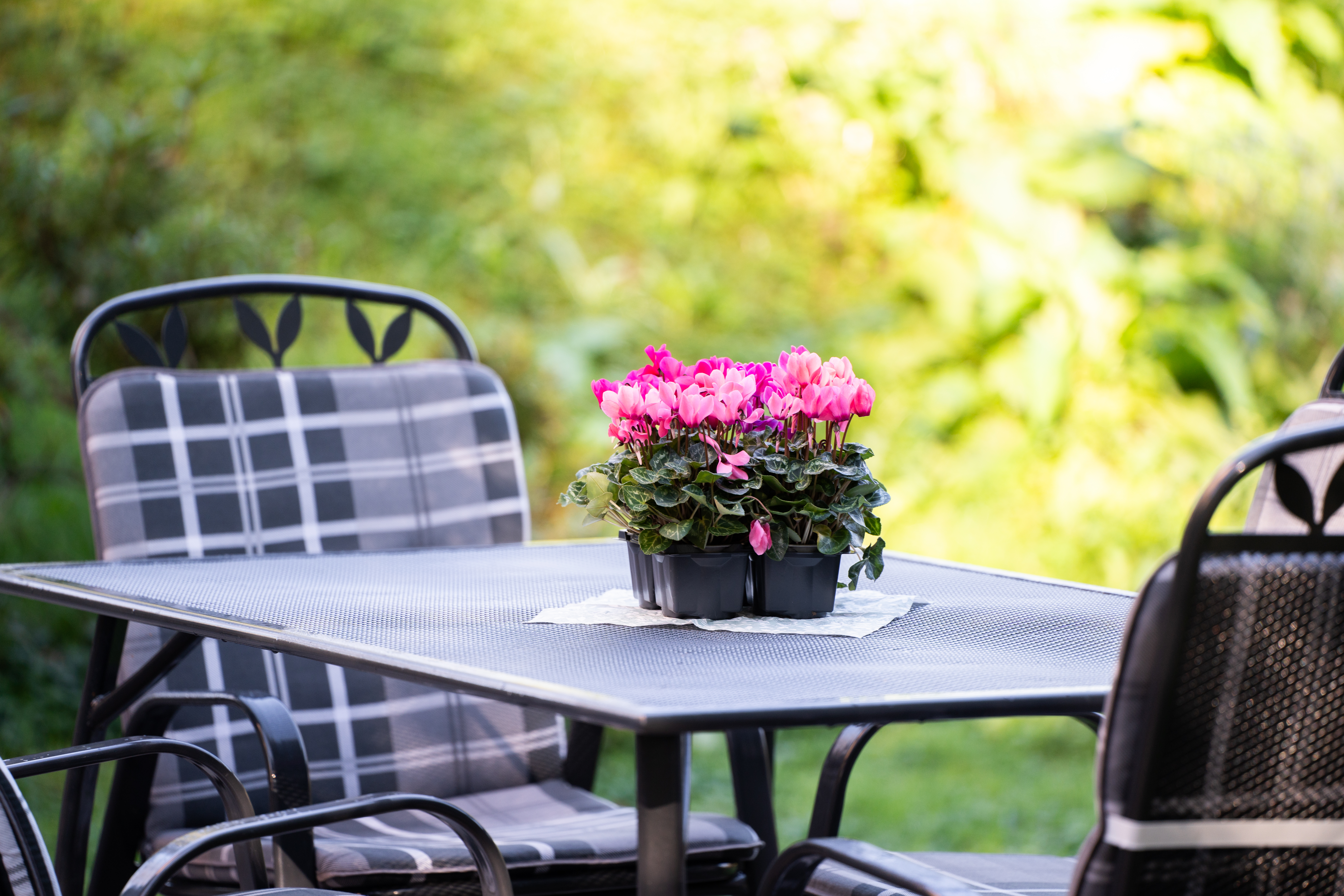 MonteurZimmer: Garten - Ferienwohnung am Wildbach bei Passau
