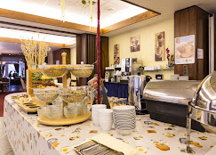 Monteur-Zimmer - Tagungshotel Höchster Hof Frankfurt