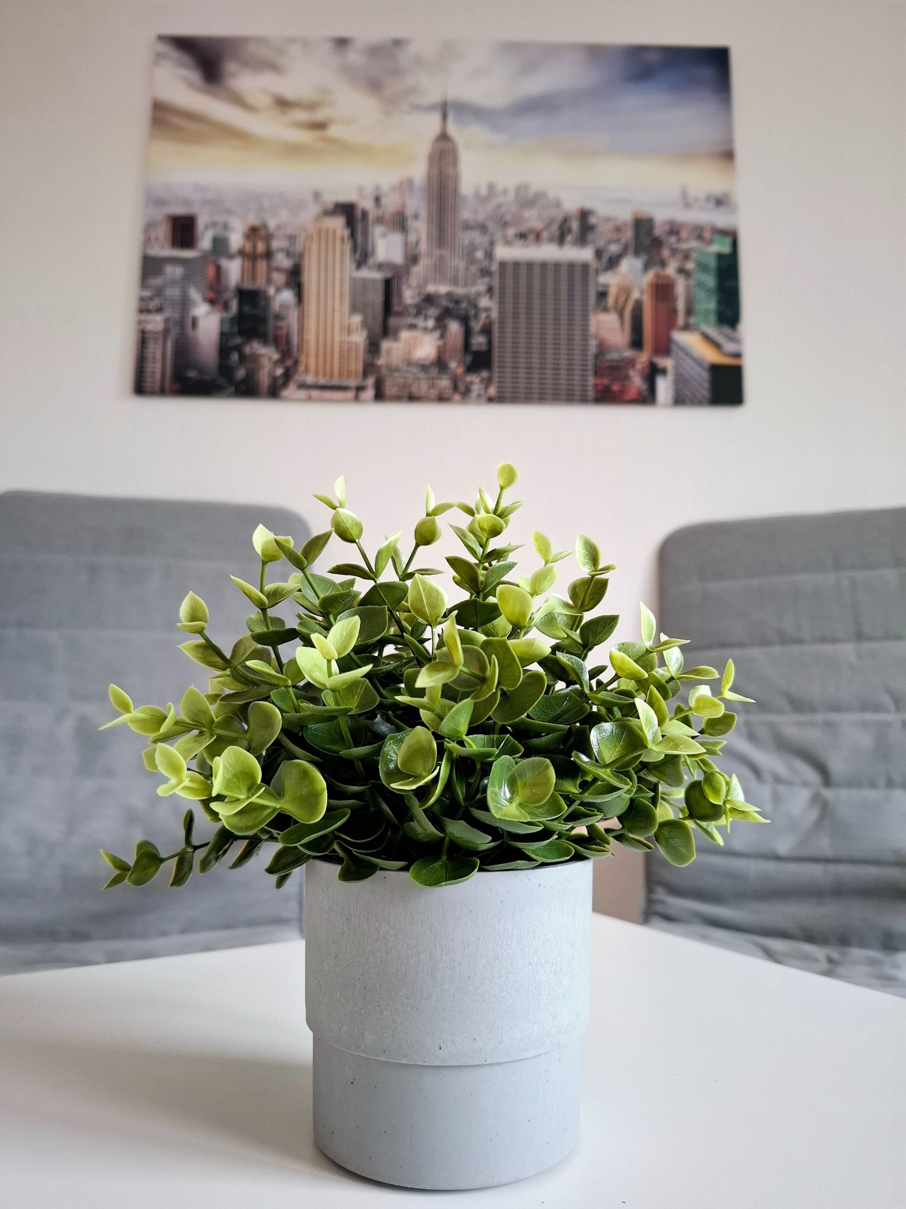 Monteur-Zimmer - Essen - Moderne Wohnung, frisch saniert! Zentrale, aber ruhige Lage!