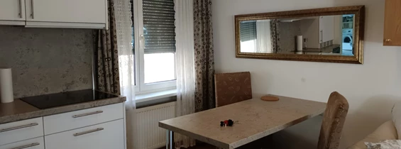 MonteurZimmer: Monteurzimmer Linz Stadt (Froschberg)