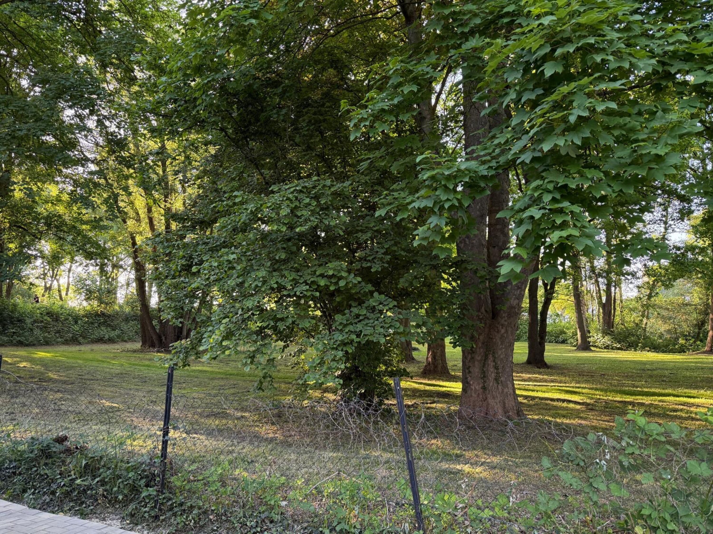 Monteur-Zimmer - Achim (Landkreis Verden) - Monteurapartments in traumhafter Kulisse am Grambker See