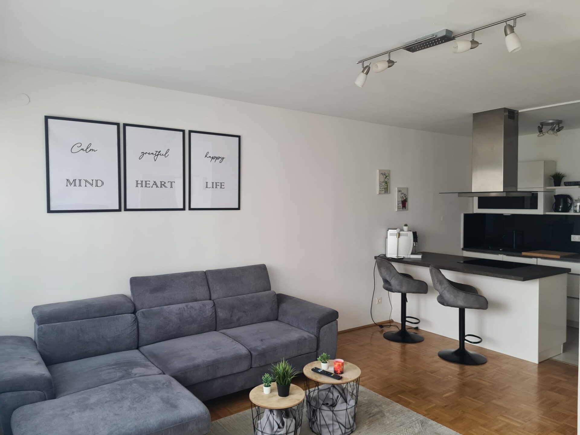Monteur-Zimmer - Fernseher - Thalgau - Ferienwohnung Stefanie