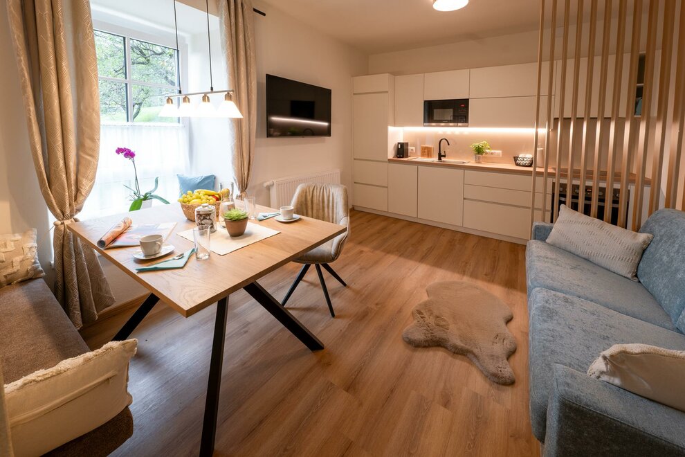 Monteur-Zimmer - Fernseher - Seiersberg - Appartements am Landschaweg