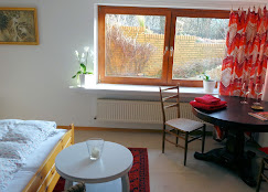 Monteur-Zimmer - Seelze - ABT Apartments GmbH