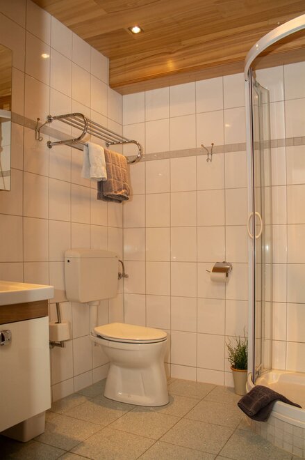 Monteur-Zimmer - Preis pro Nacht - Aflenz Kurort - Gasthof Steiner-Ellinger