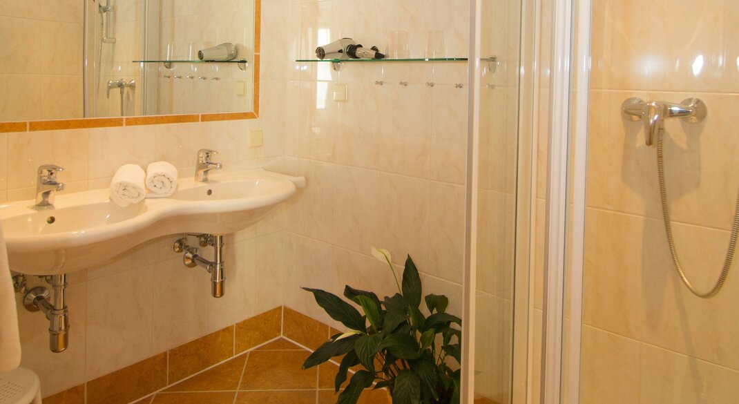 Monteur-Zimmer - Preis pro Nacht - Abtenau - Abelhof