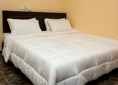 Monteur-Zimmer - Viernheim - High level Apartment & SUITE
