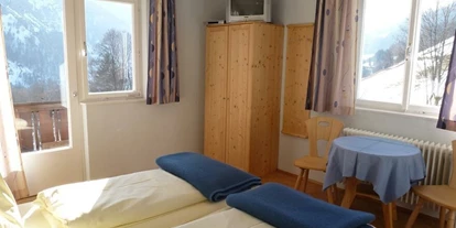 Monteur-Zimmer - Werfen - Meisslingerhof