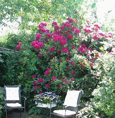 Monteur-Zimmer - Waldbronn - Pension Anita