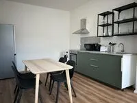 Monteur-Zimmer - Preis pro Nacht - 3 moderne Apartments in Wiesbaden