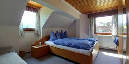 Monteur-Zimmer - Bad Ischl - Christerbauerhof