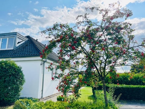 MonteurZimmer: Gästezimmer Reupke
