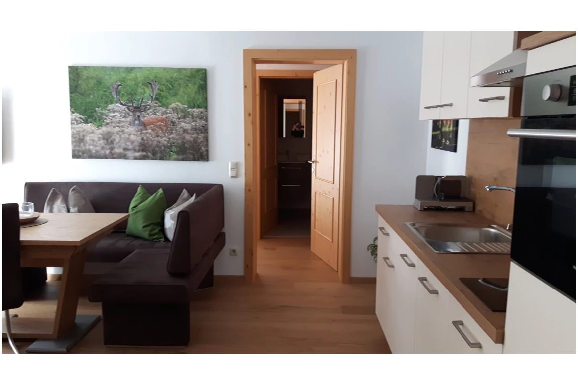 MonteurZimmer: Alpen Apartments Embach