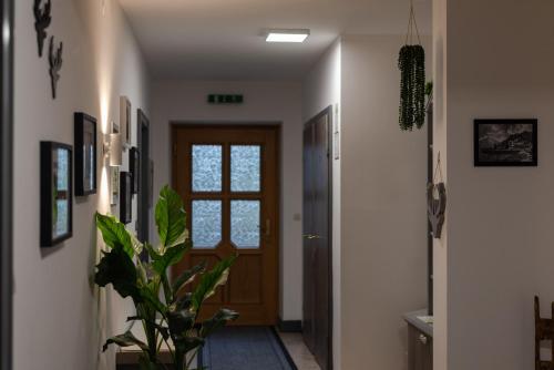 Monteur-Zimmer - Preis pro Nacht - Taxenbach - Apartment, Haus Lederer