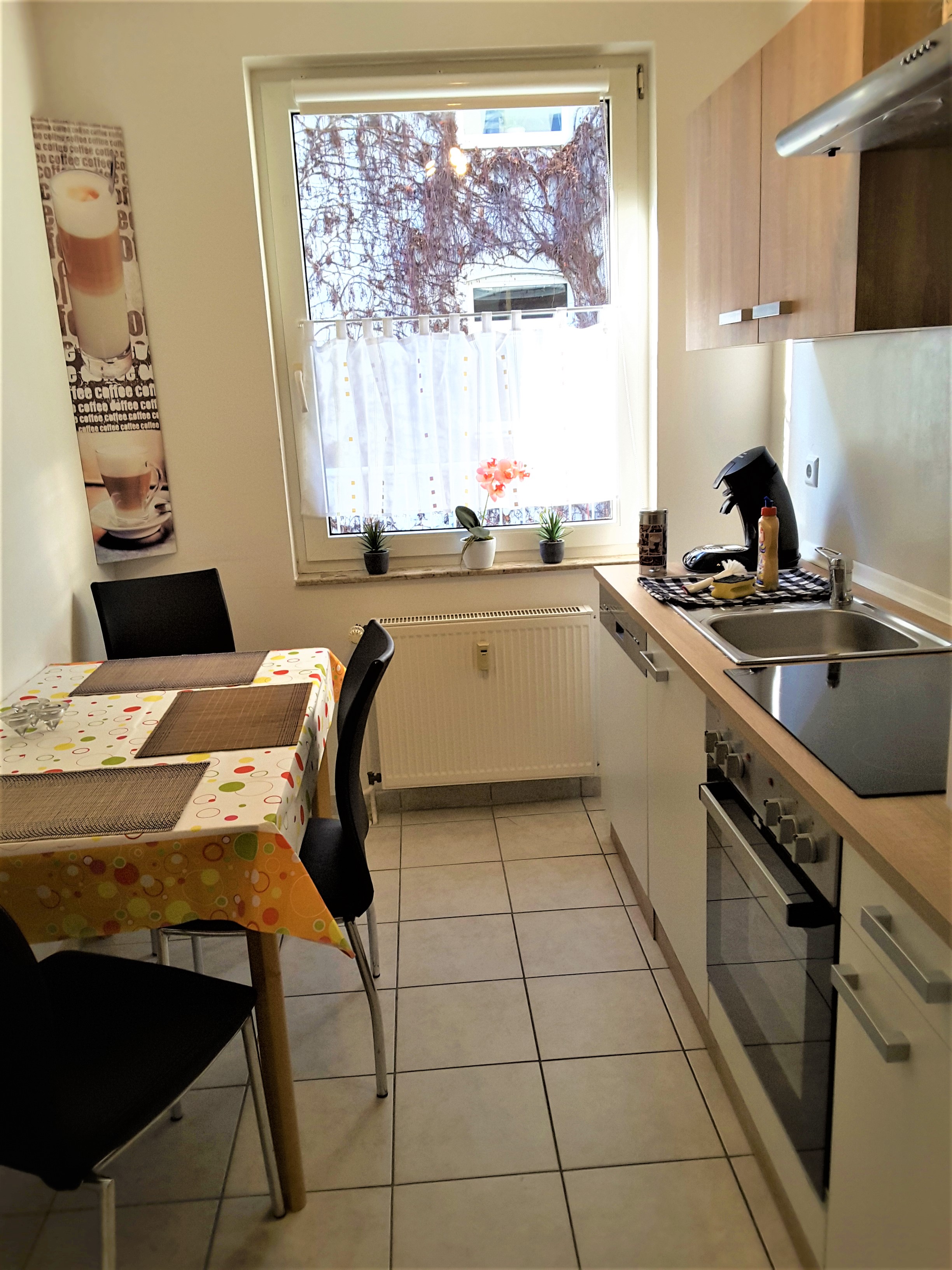 MonteurZimmer: Citywohnungen Halle und Landhäuser nördlicher Saalekreis, 1-8 Gäste