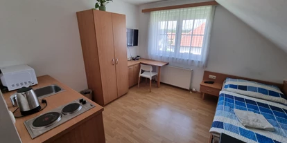 Monteur-Zimmer - Kirchschlag bei Linz - Apollon Appartments Kronstorf