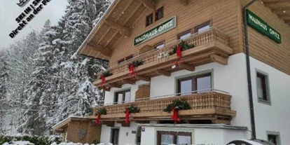 Monteur-Zimmer - Werfen - Apartment Waldhaus Opitz