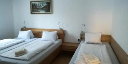 Monteur-Zimmer - Werfen - Apartment Waldhaus Opitz