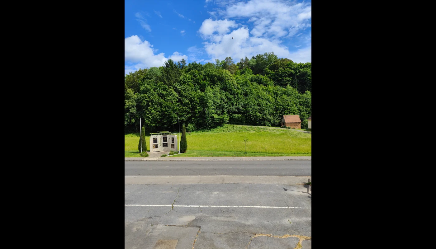 Monteur-Zimmer - Herd - Oberdrosen - Ausblick vom Fenster - Ferienwohnung Waldblick