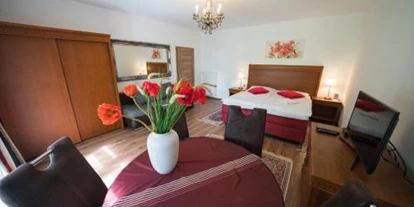 Monteur-Zimmer - Lanzendorf (Lanzendorf) - Aurelius Pension