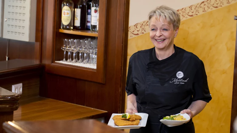 Monteur-Zimmer - Preis pro Nacht - Vösendorf - Gasthof Gabriele Martinek