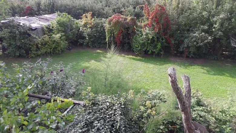 Monteur-Zimmer - Preis pro Nacht - Neulengbach - Privatzimmer Paul Seel