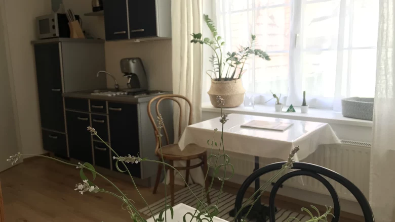 Monteur-Zimmer - Preis pro Nacht - Hollenburg (Krems an der Donau) - Gästehaus Lurger