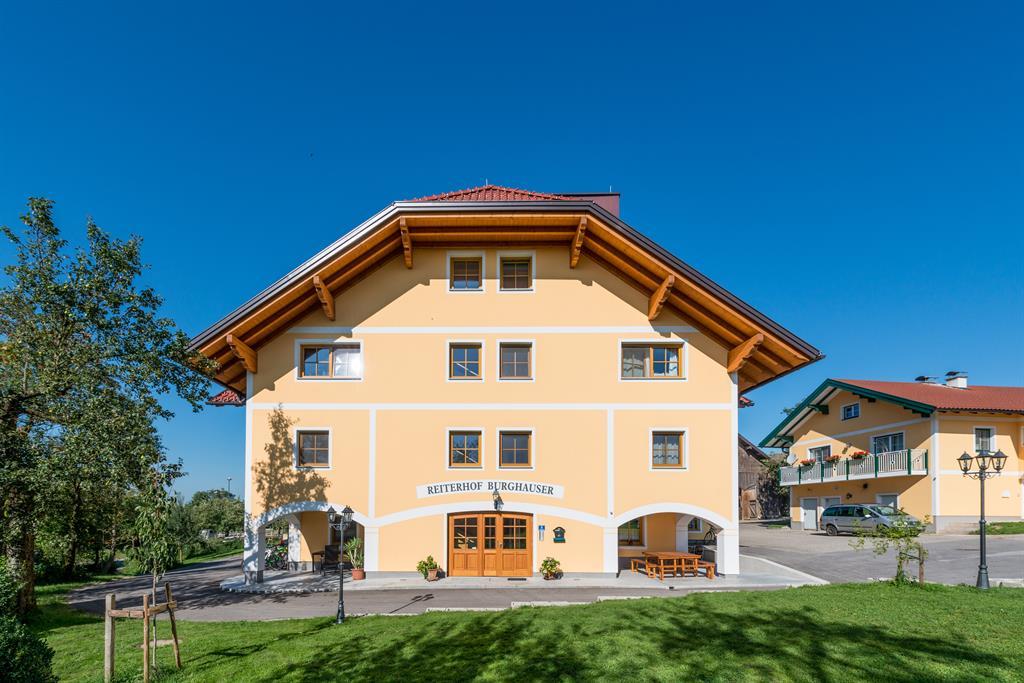 Monteur-Zimmer - Fernseher - Ried im Innkreis - Reiterhof Burghauser