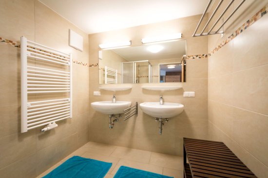 Monteur-Zimmer - Fernseher - Ried im Innkreis - Reiterhof Burghauser