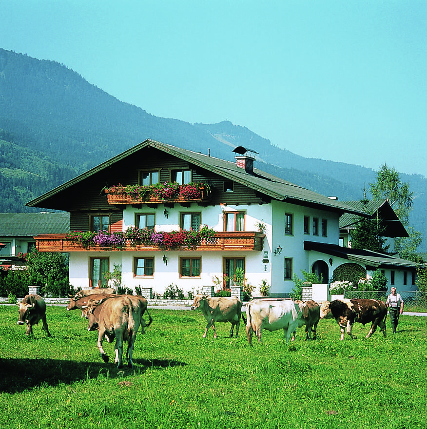 Monteur-Zimmer - Preis pro Nacht - Bad Dürrnberg - Pension Stegmayer