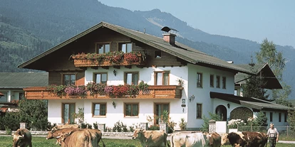 Monteur-Zimmer - Thalgau - Pension Stegmayer