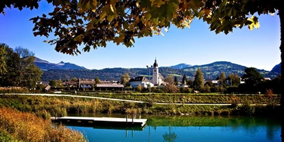 Monteur-Zimmer - Thalgau - Pension Stegmayer
